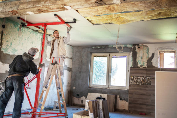 Best Insulation Maintenance and Repair in Chippewa Falls, WI