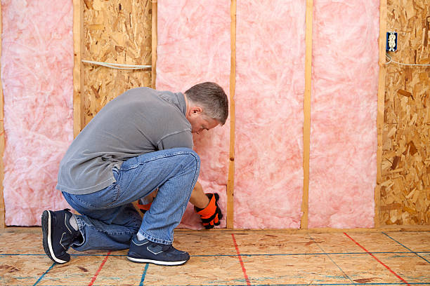 Best Insulation Installation Services in Chippewa Falls, WI